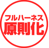 フルハーネス原則化